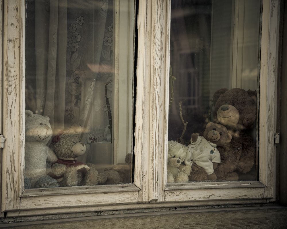 Фотография автора NIKOLAY KALININ