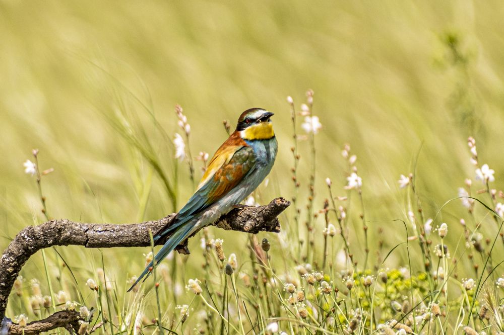 Photograph by Amelia Pardo