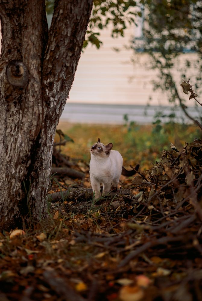 Photograph by Зульхиза Миндиахметова