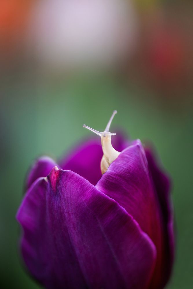 Photograph by Быканова Виктория