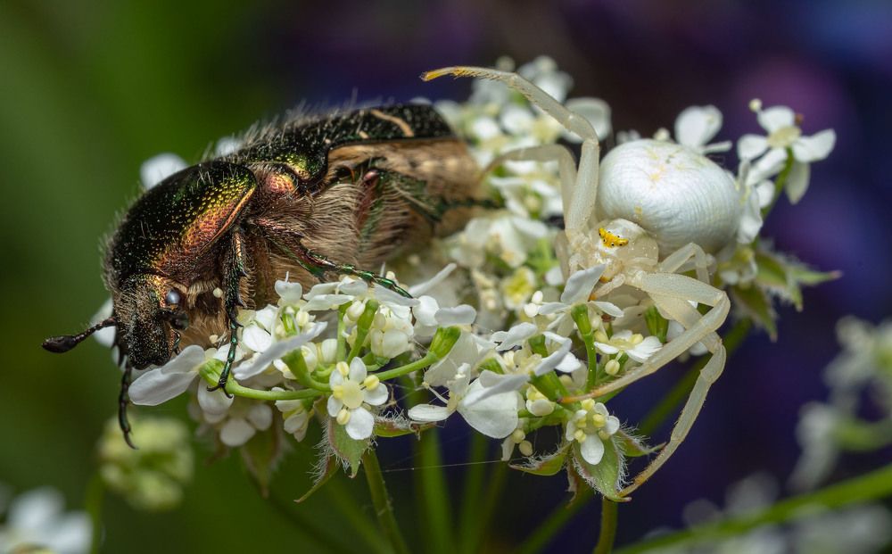 Photograph by Сергей Харитон