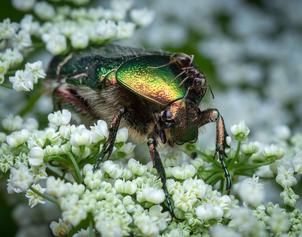 Photograph by Сергей Харитон