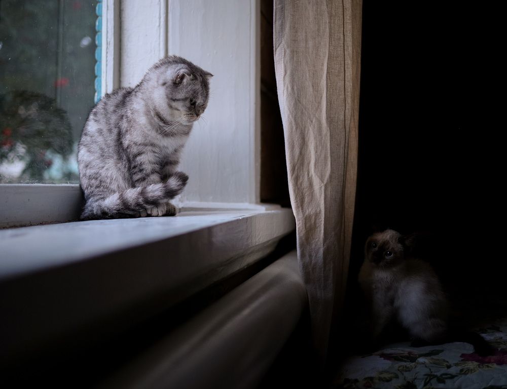 Photograph by Зульхиза Миндиахметова