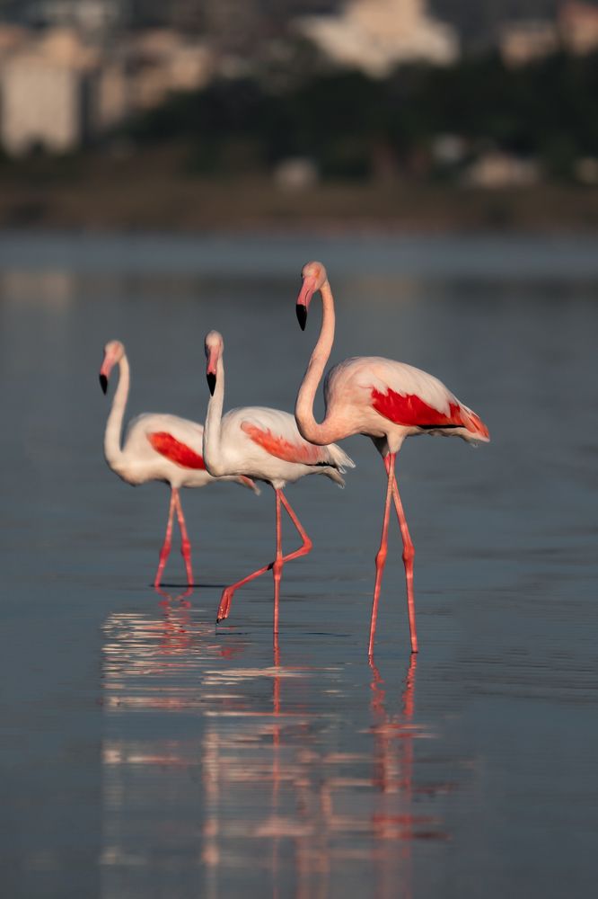 Photograph by Maksim Goncharov