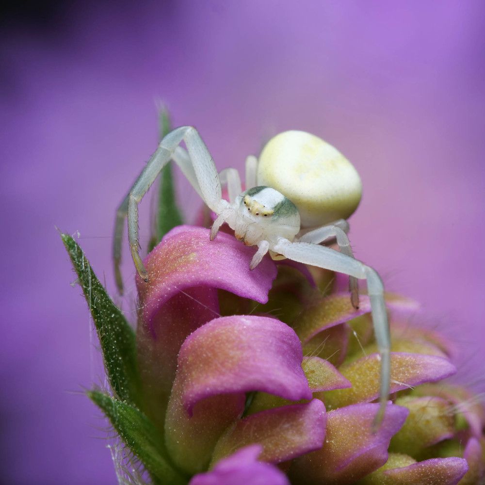 Photograph by Сергей Харитон