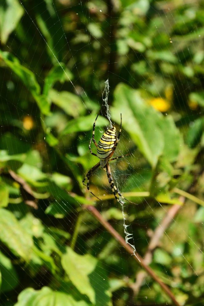 Photograph by Daria Kirina