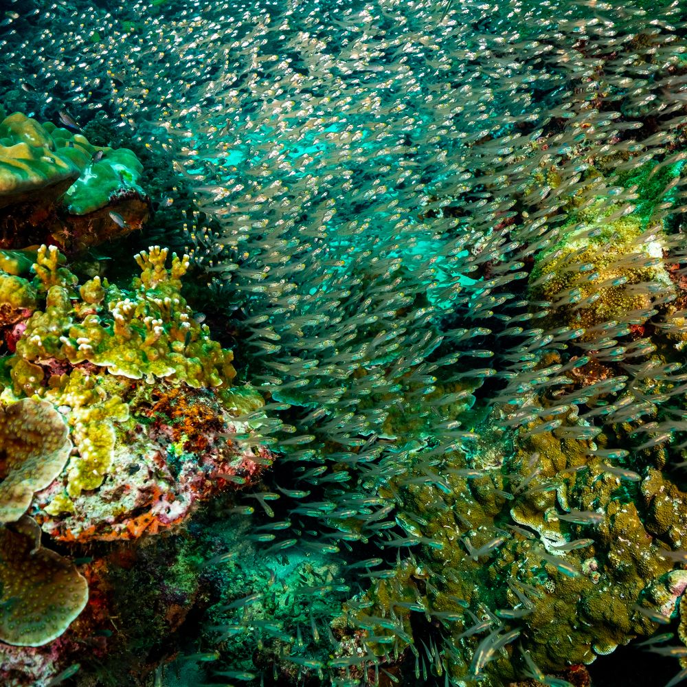 Photograph by Дмитрий Плотников