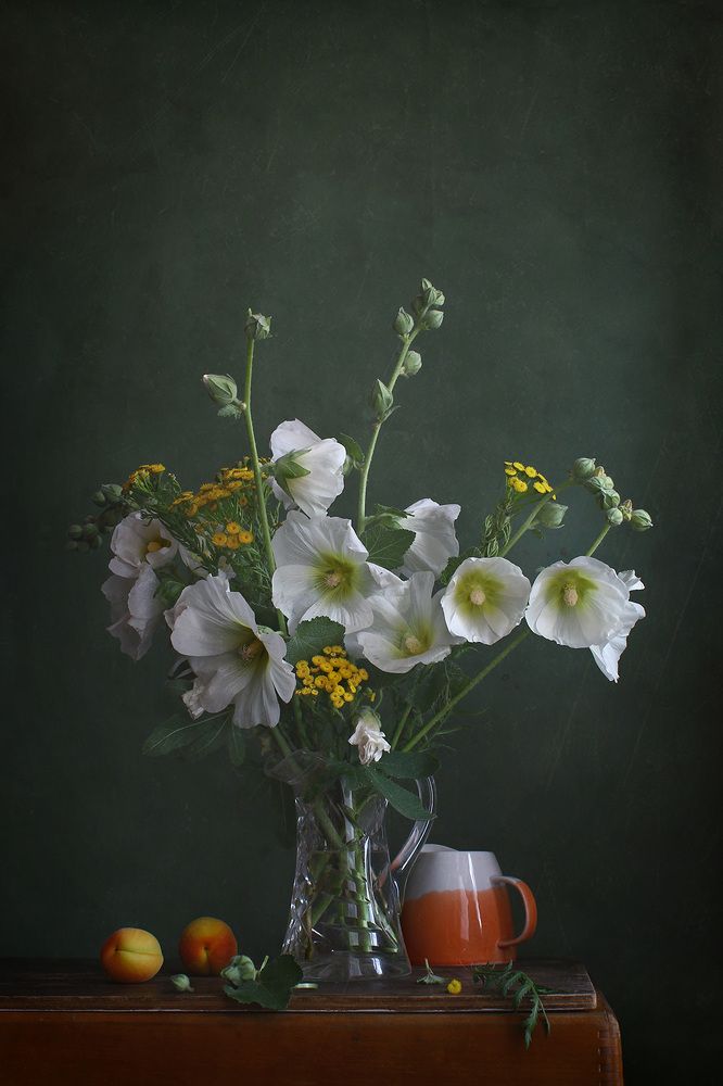 Photograph by Курочкина Диана