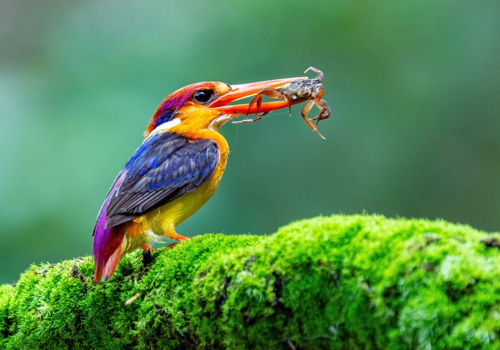 Photograph by Nitin Baste