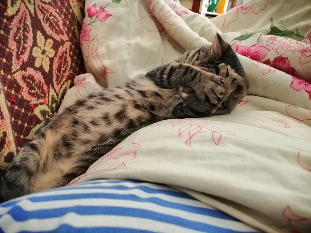 Photograph by Екатерина Русских