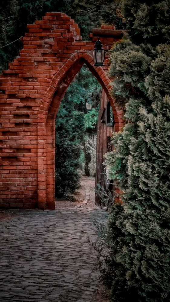 Photograph by Andreea