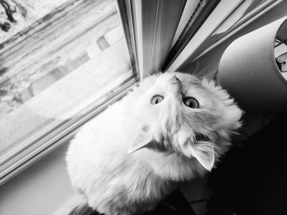 В ожидании весны