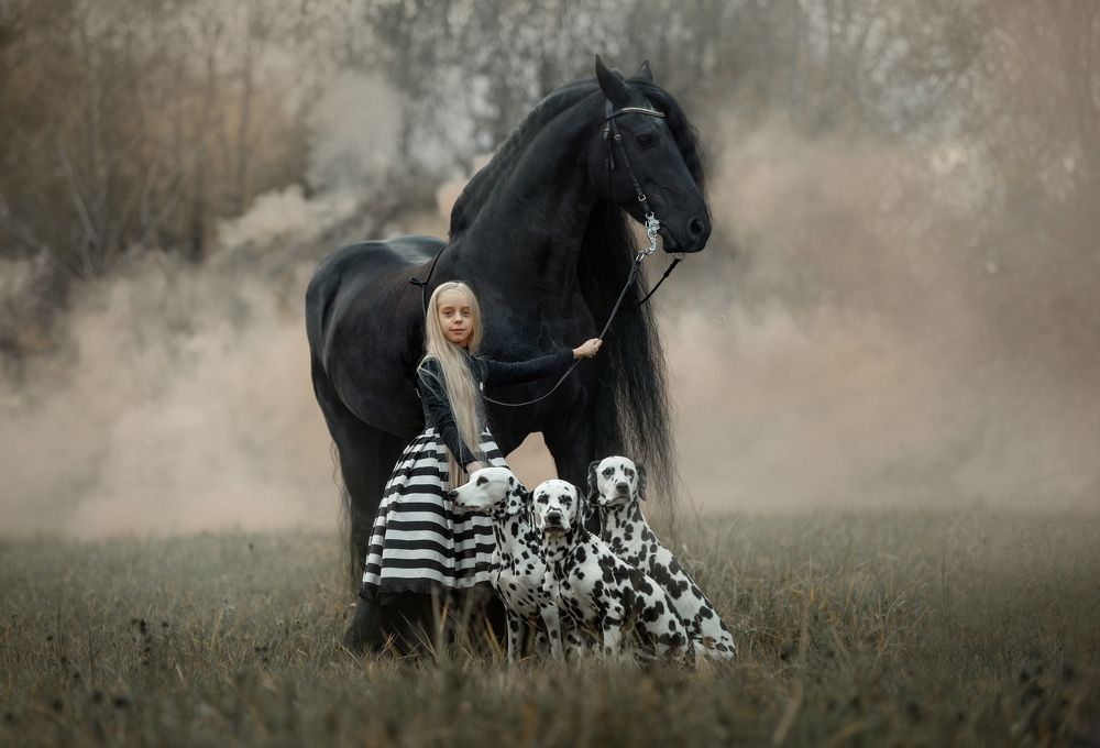 Фотография автора Julia Shepeleva