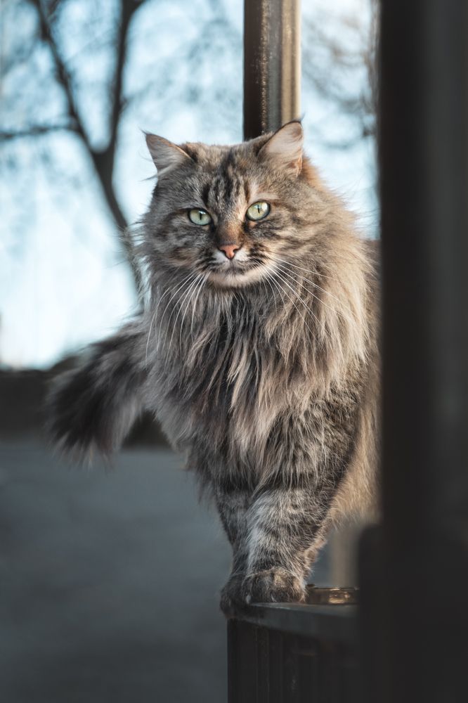 Photograph by Natalia Hidalgo