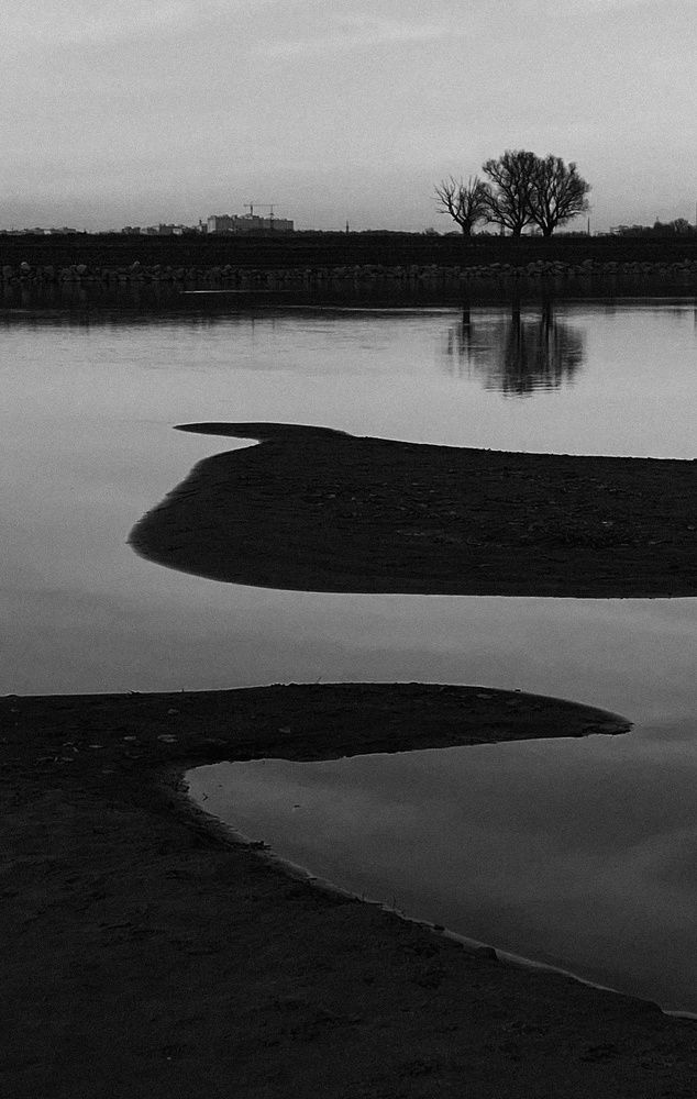 Photograph by Елена Шевченко