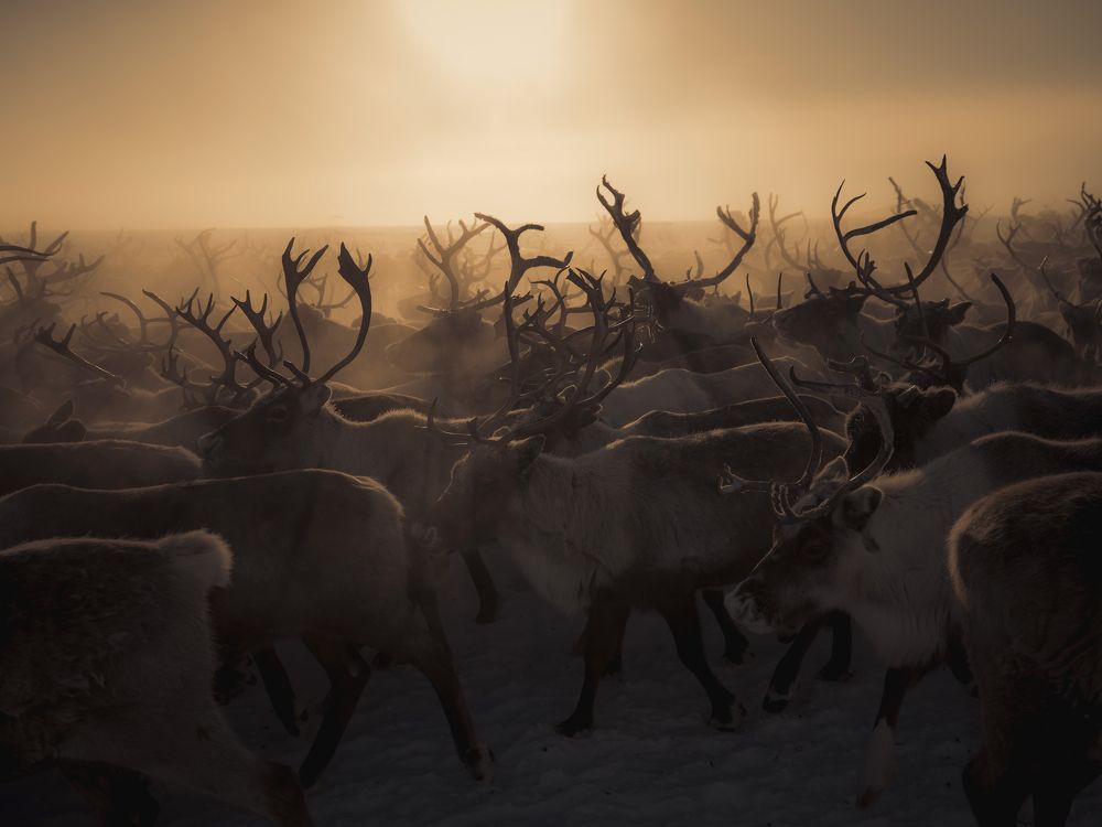 Photograph by ahmet erol