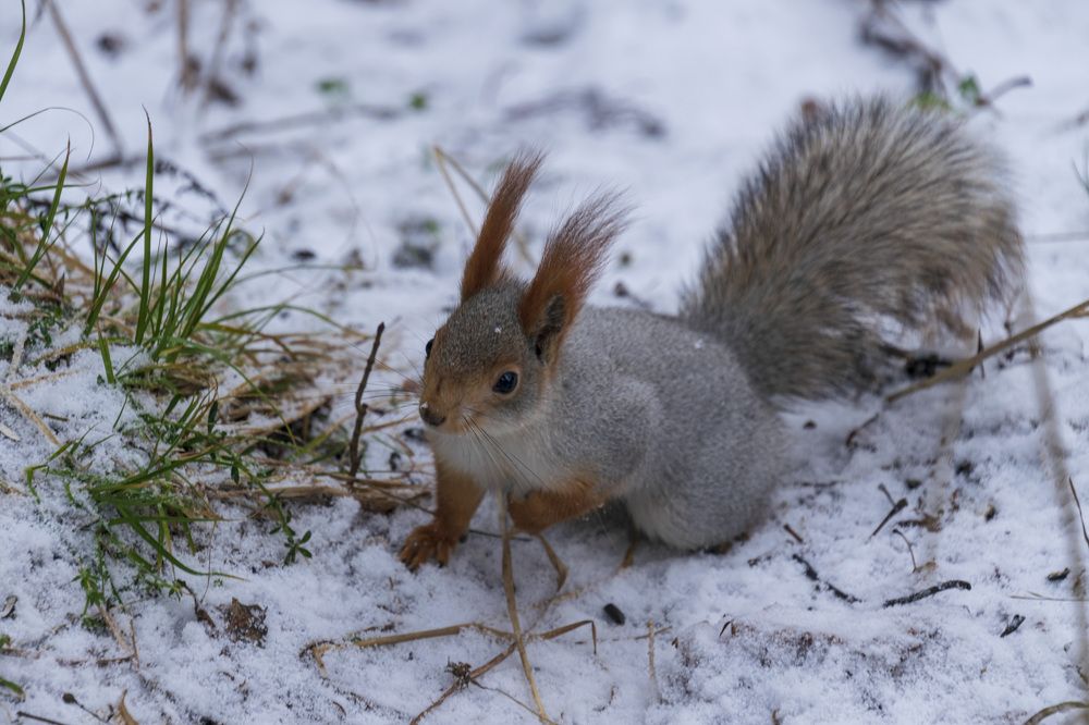 Photograph by Лилия Кондратьева
