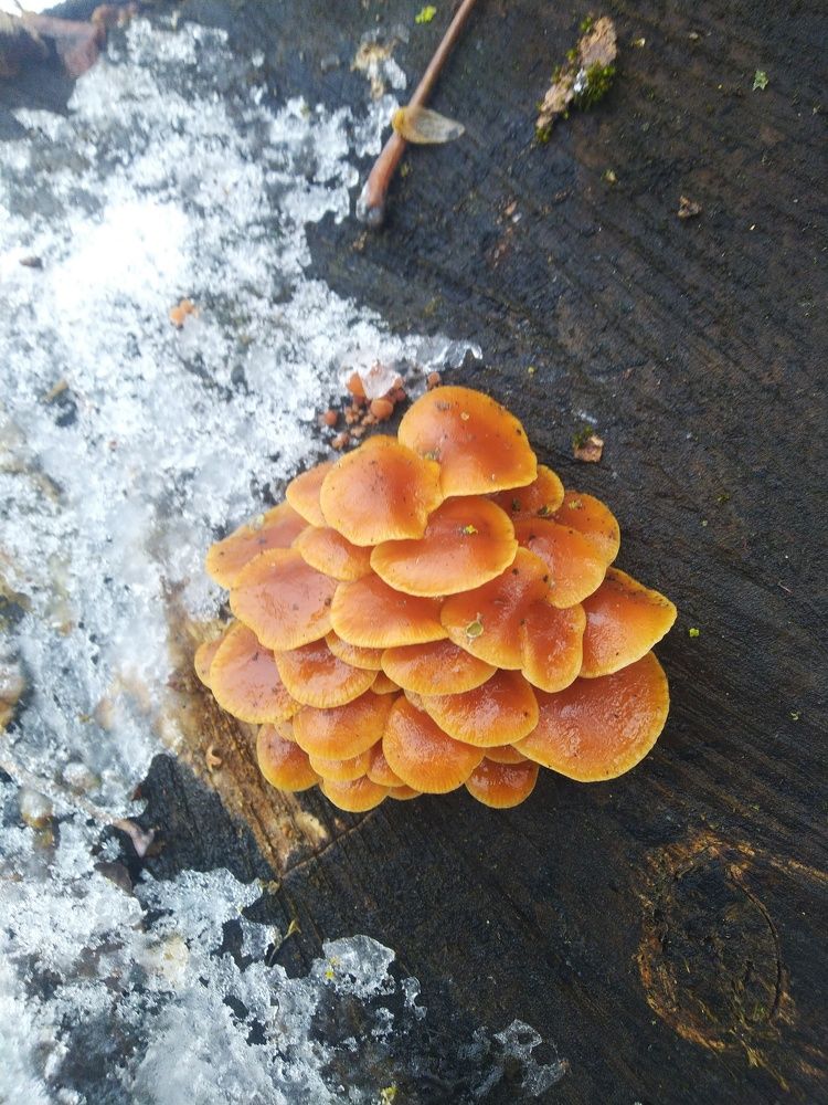 Photograph by Марина Шульга