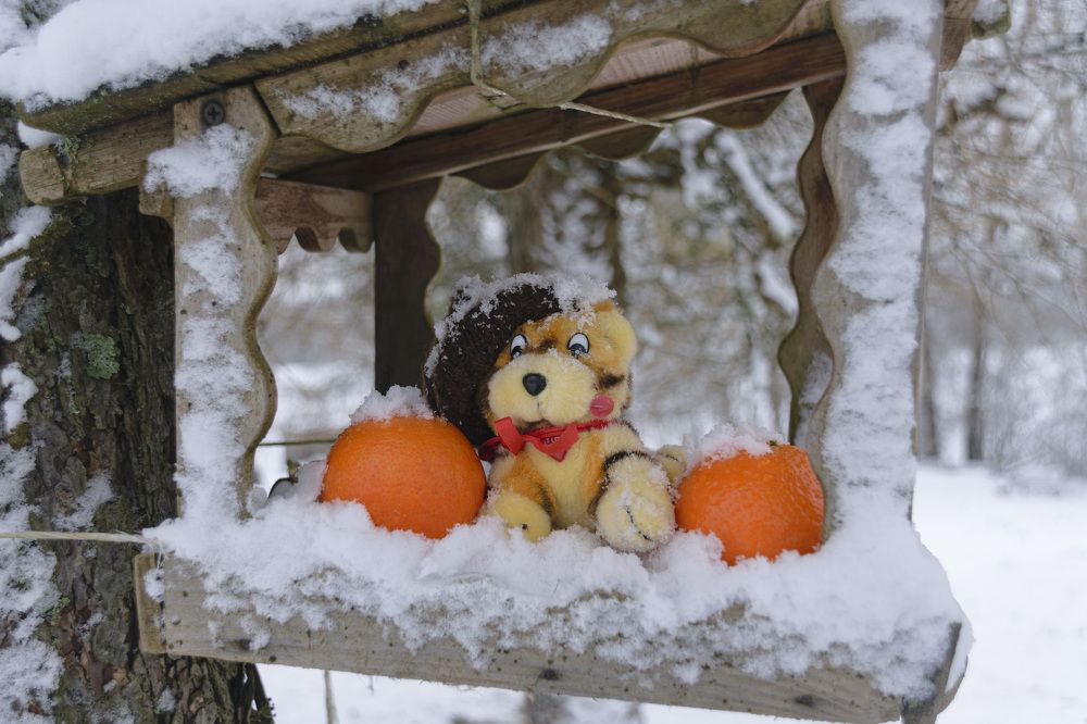 Photograph by Лилия Кондратьева