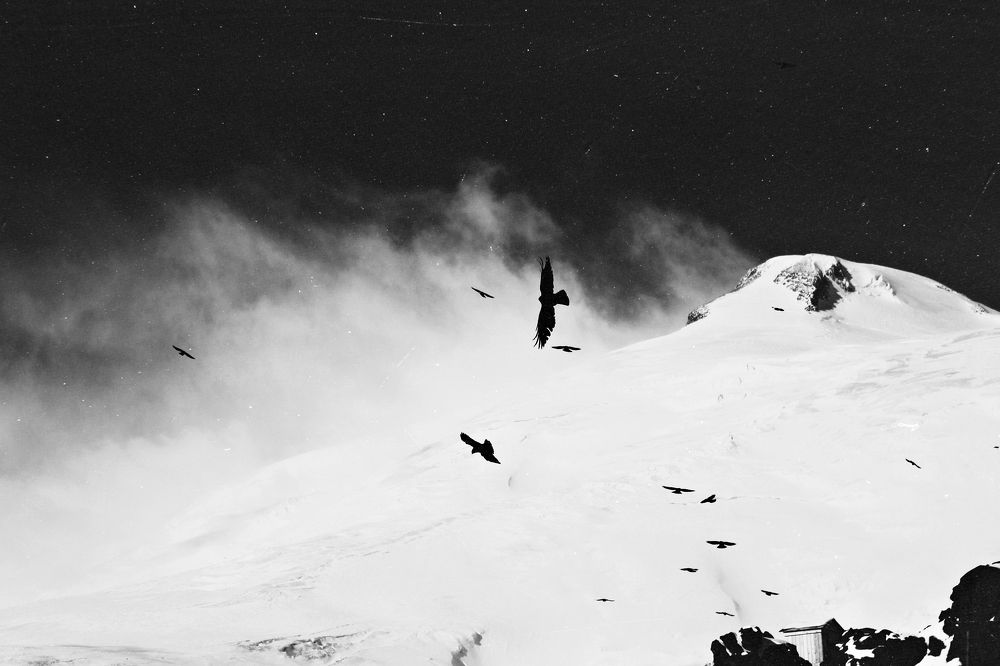 Photograph by Анна Клюкина