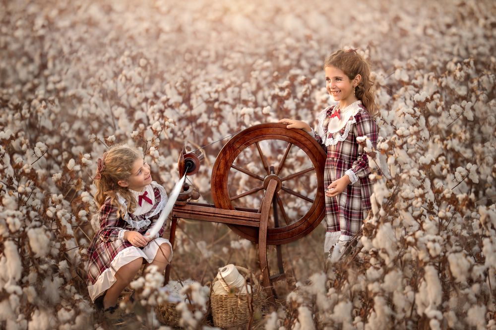 Photograph by Hamutal Avioz