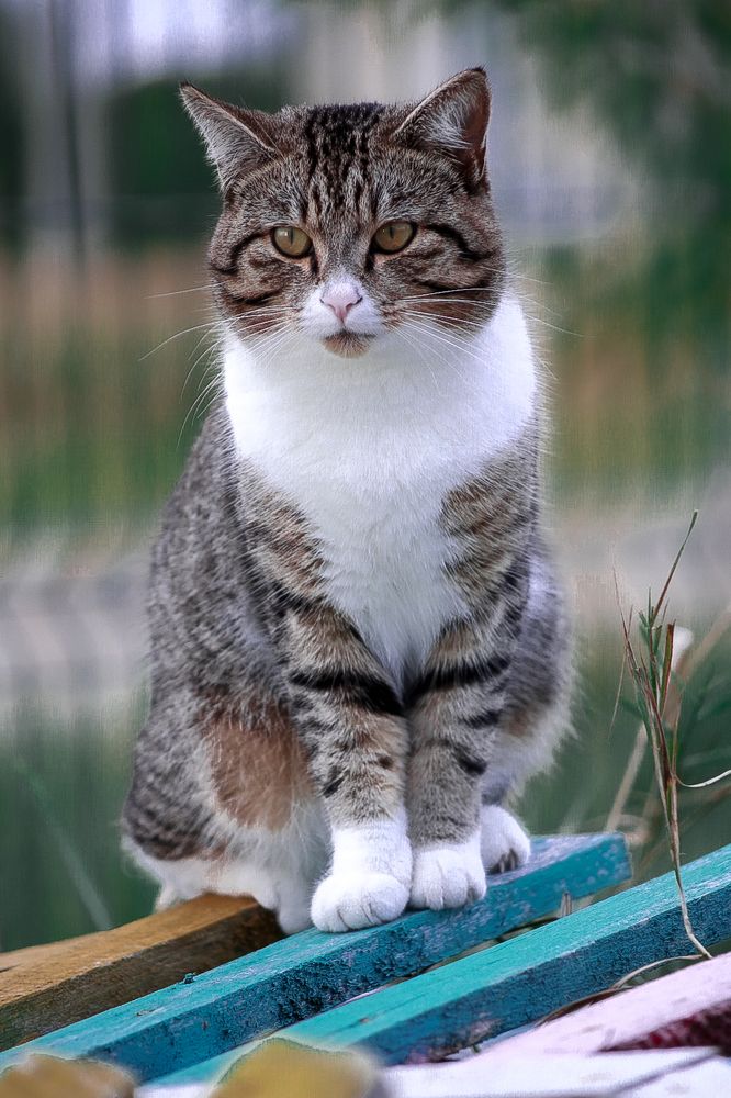 Photograph by Елена Болдырева