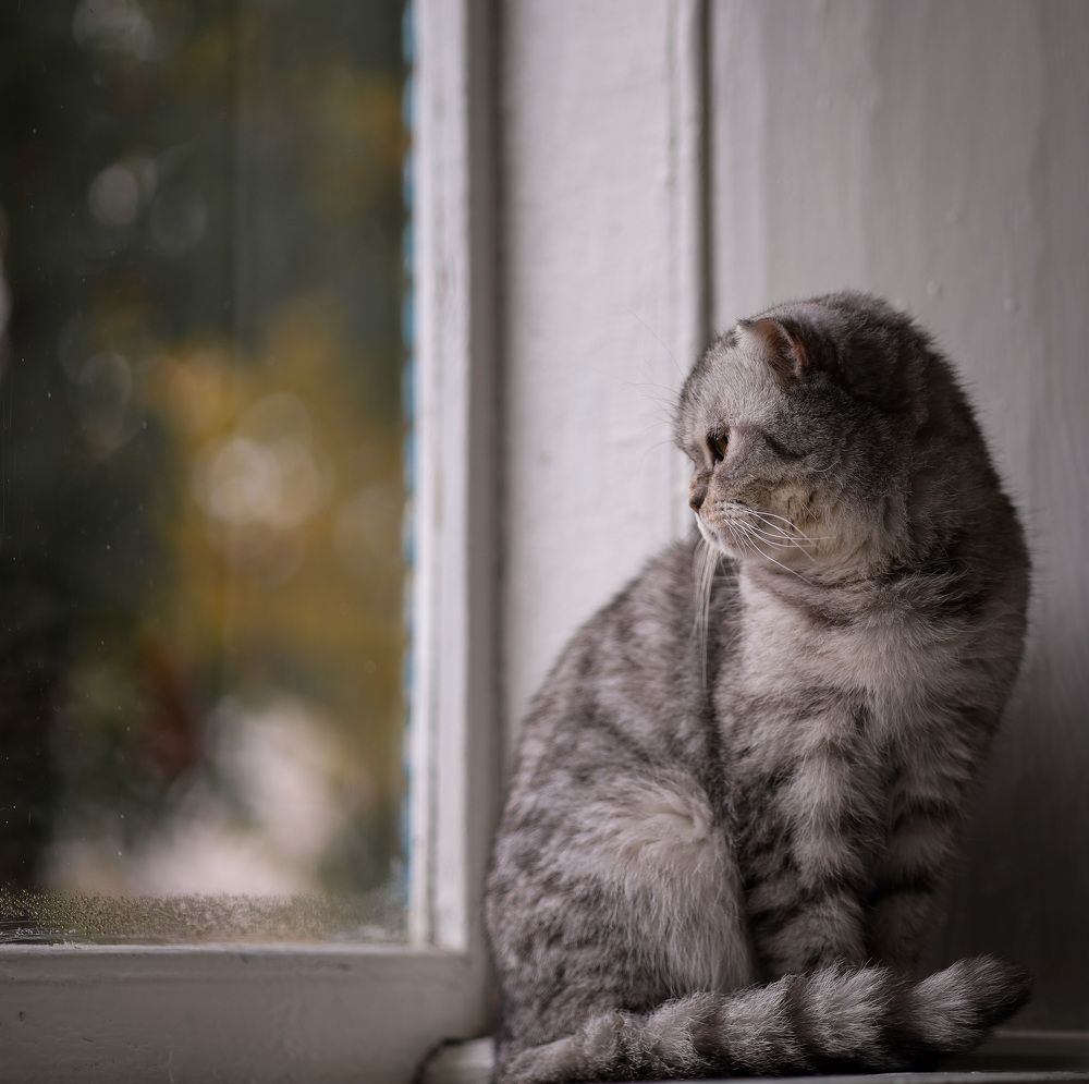 Photograph by Зульхиза Миндиахметова