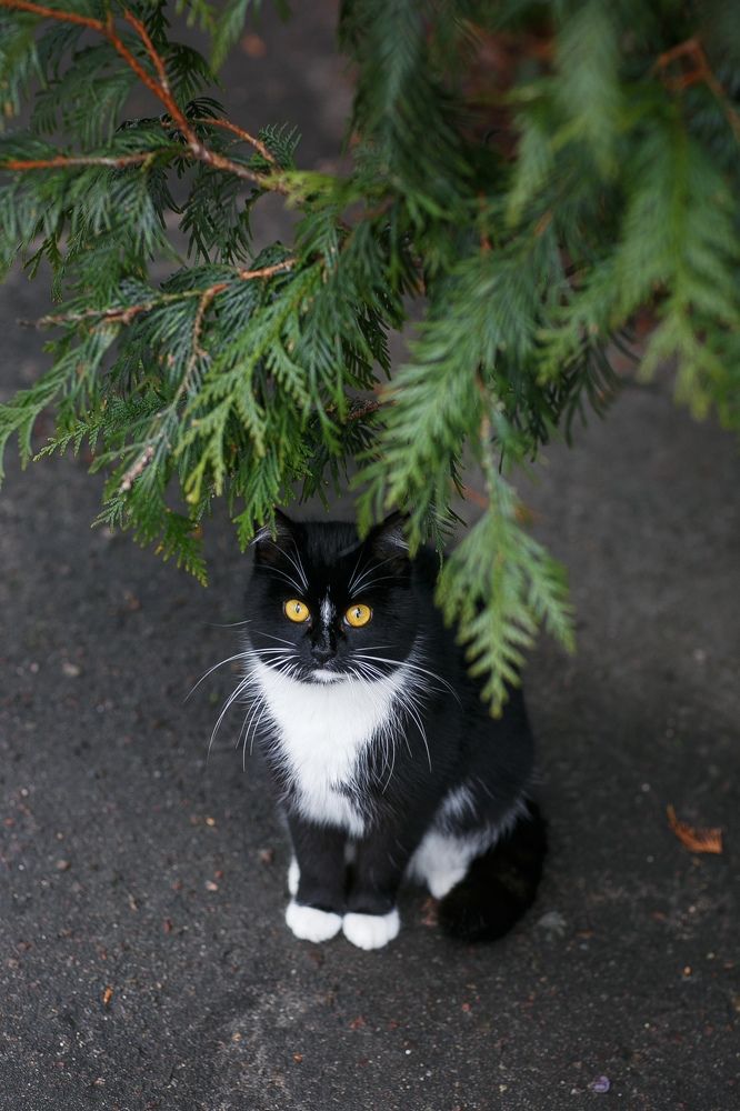 Photograph by Плеханова Гульшат