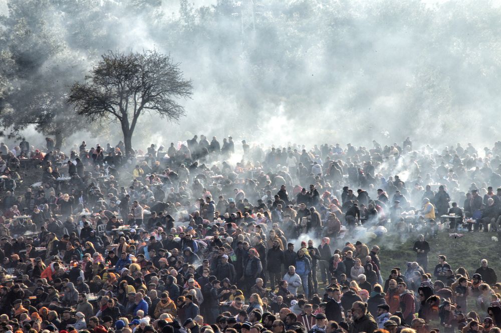 selcuk deve guresleri