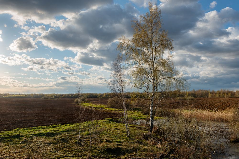 Photograph by Борис Леваков