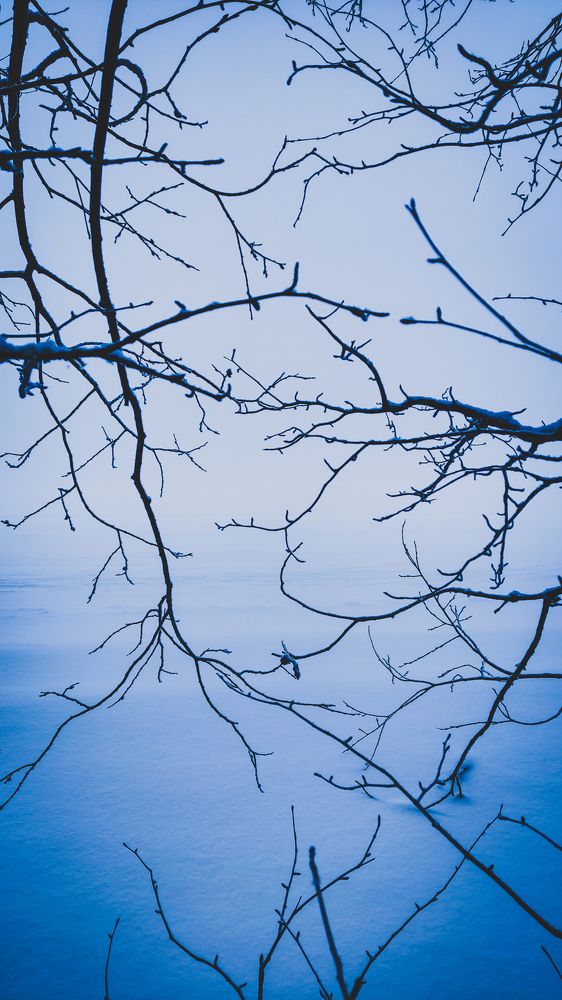 Photograph by Артем Бурдин