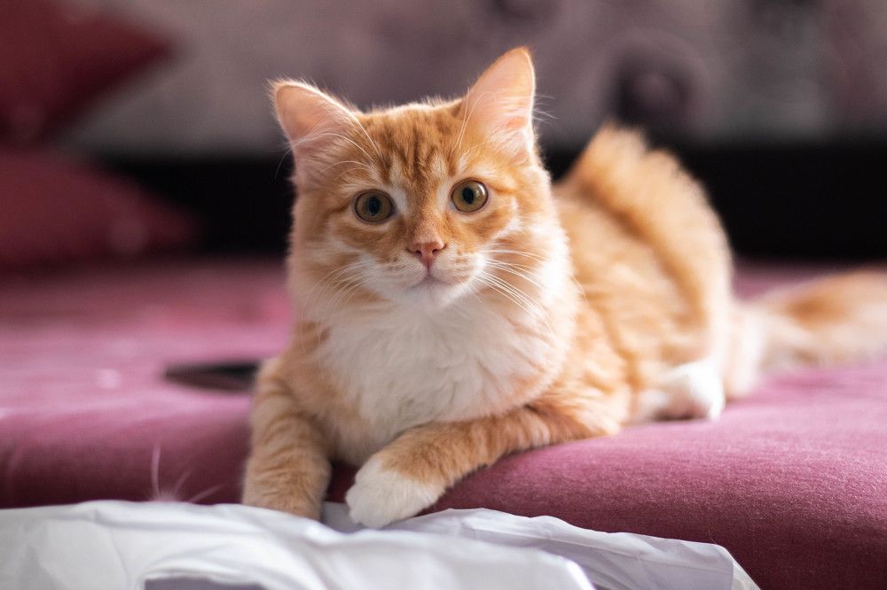 Photograph by Злата Новикова