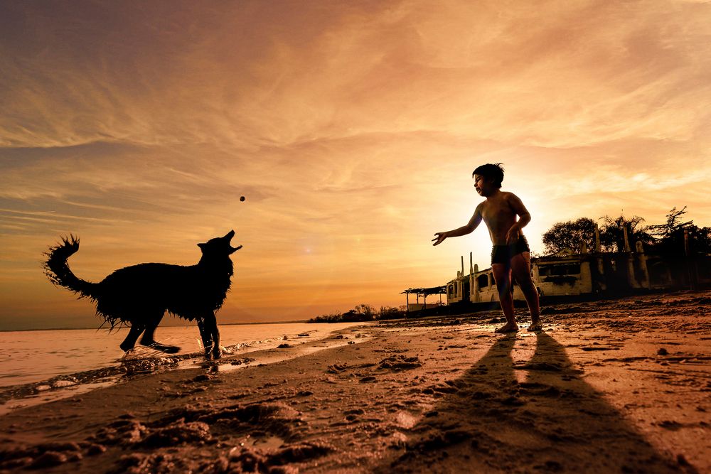 El mejor amigo del hombre