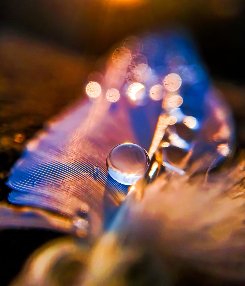 Photograph by Rohit Kumar