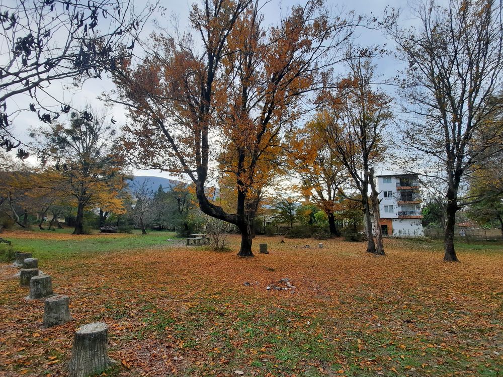 Photograph by Rasoul Soleimani