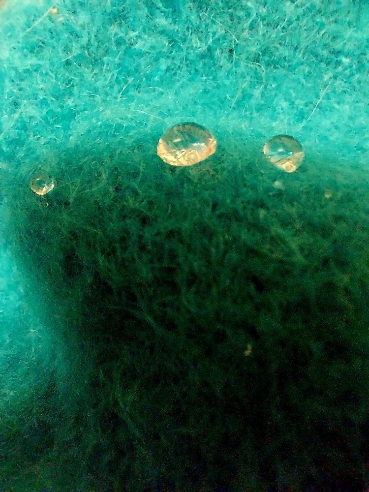 Очевидное невероятное