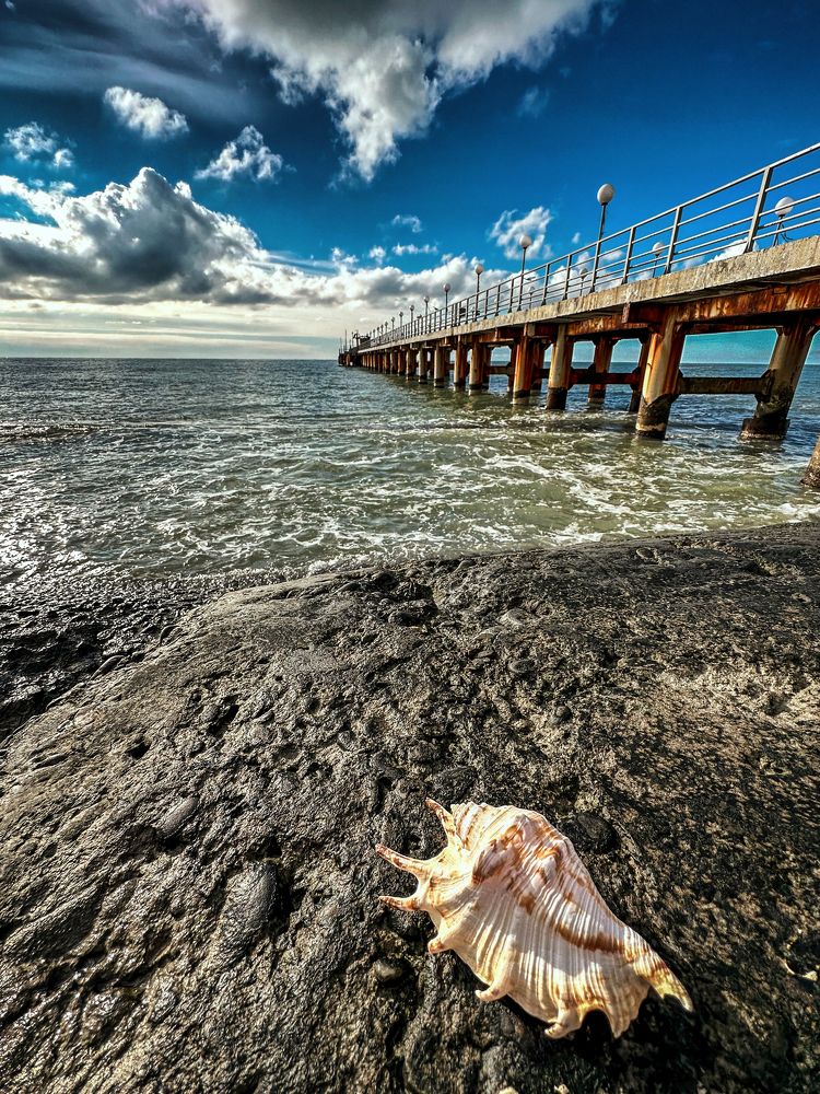 Photograph by Владимир Зуев