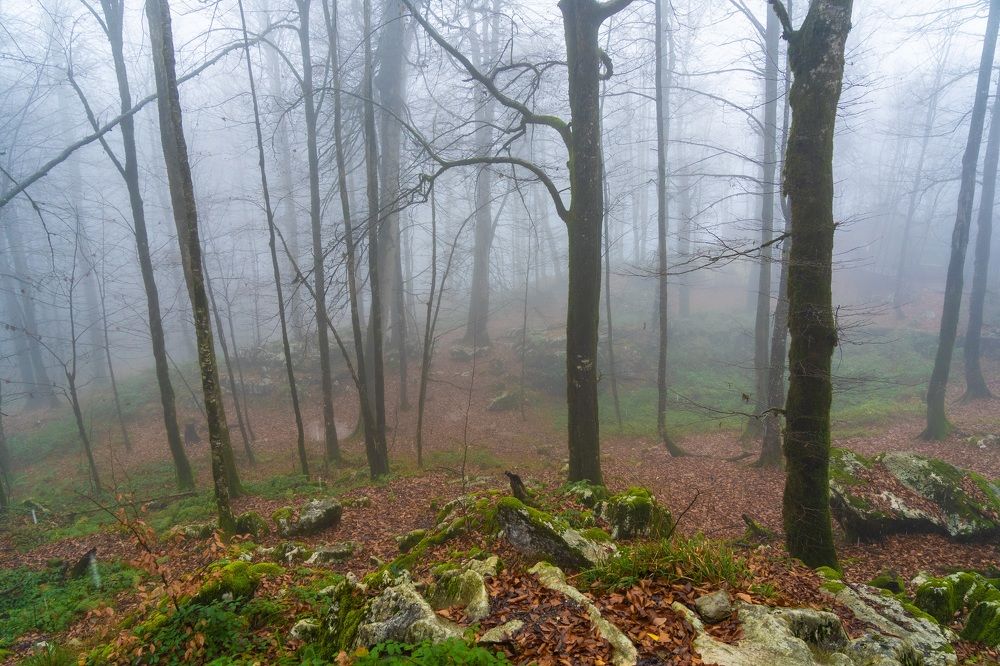 Photograph by Rasoul Soleimani