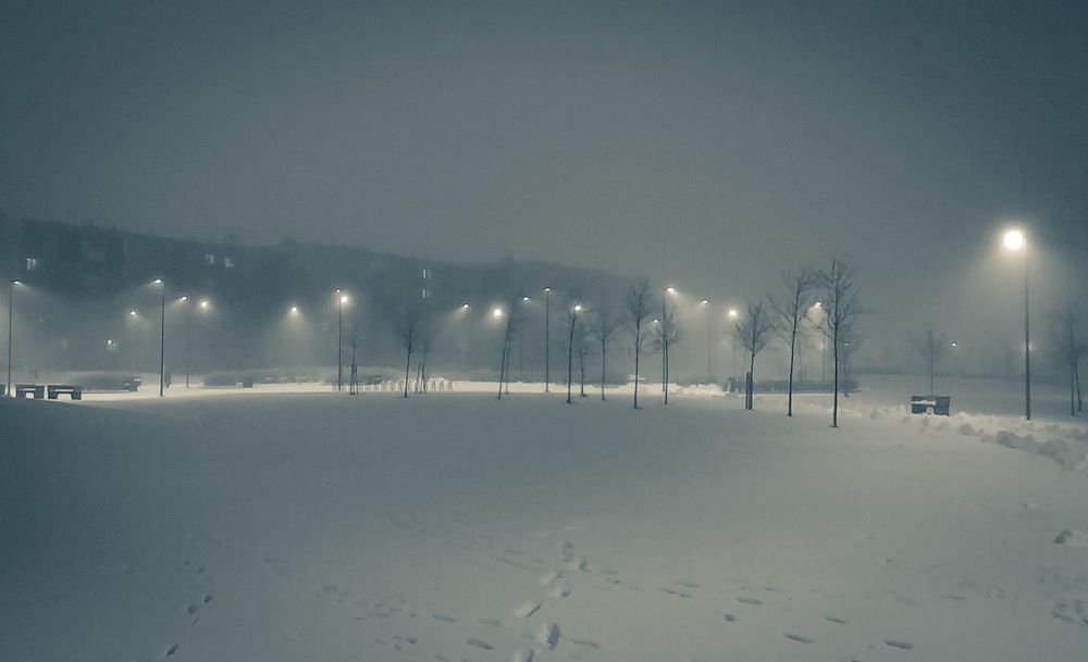 Photograph by Aleksandr Barsukov