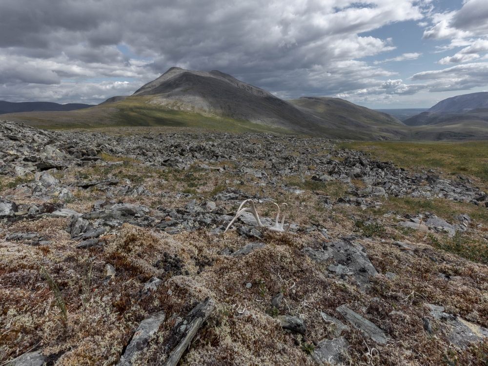 Photograph by Елена Хорохорина