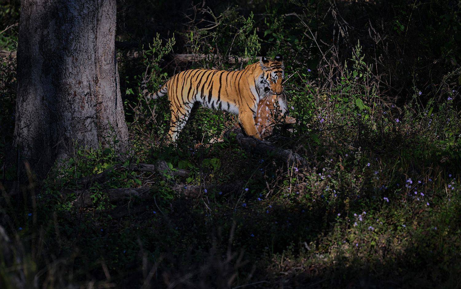 Фотография #8846360