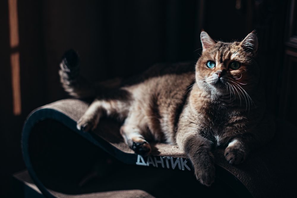 Photograph by Дмитрий Торжинский