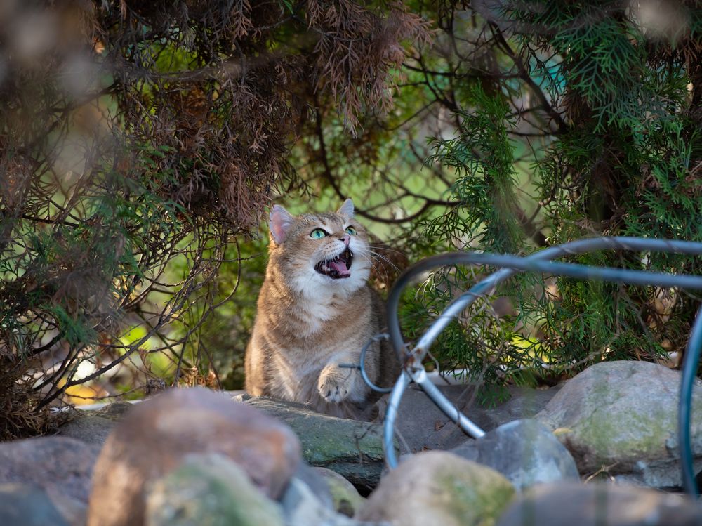 Photograph by Дмитрий Торжинский