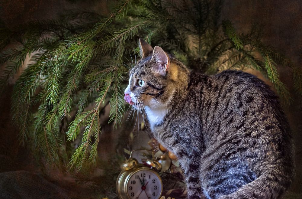 Photograph by Анна Кривицкая