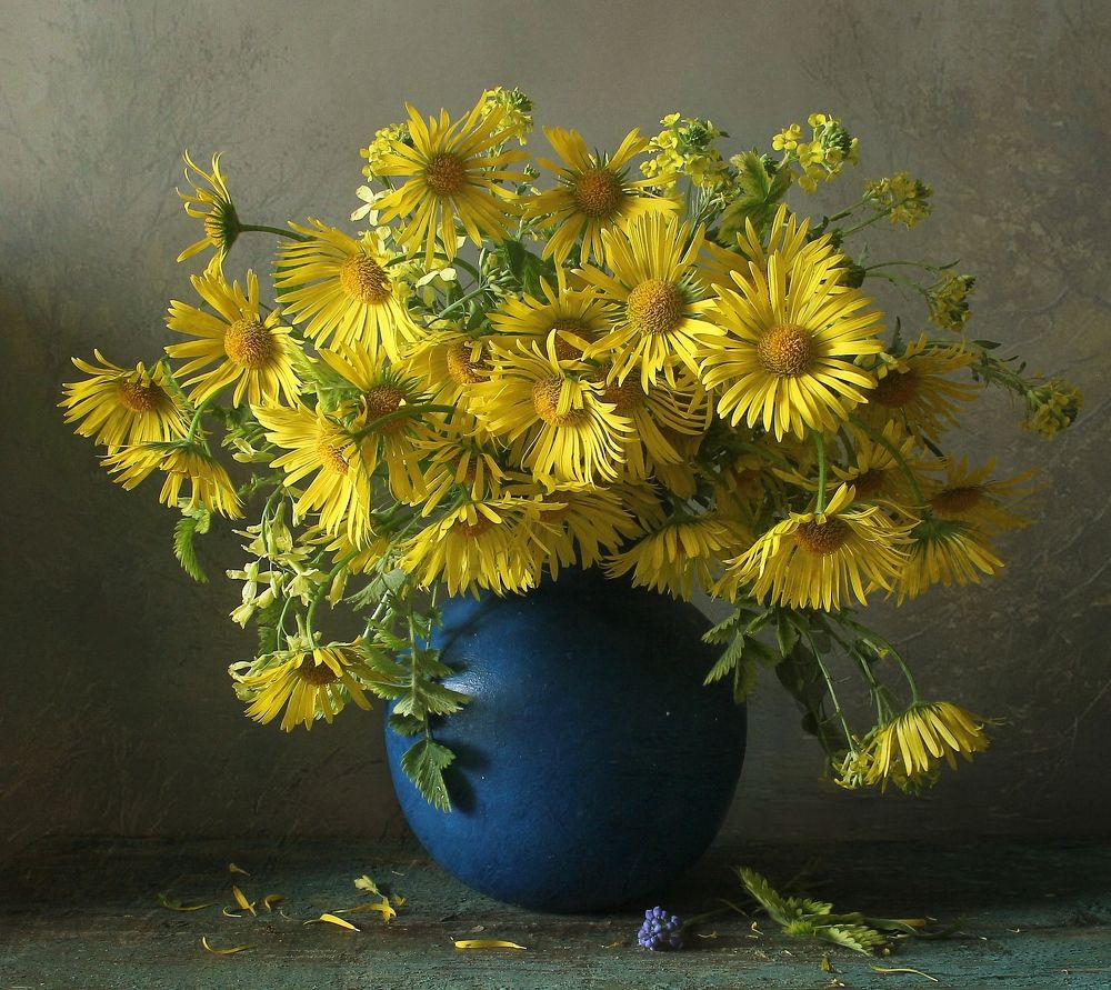 В волшебных искрах света