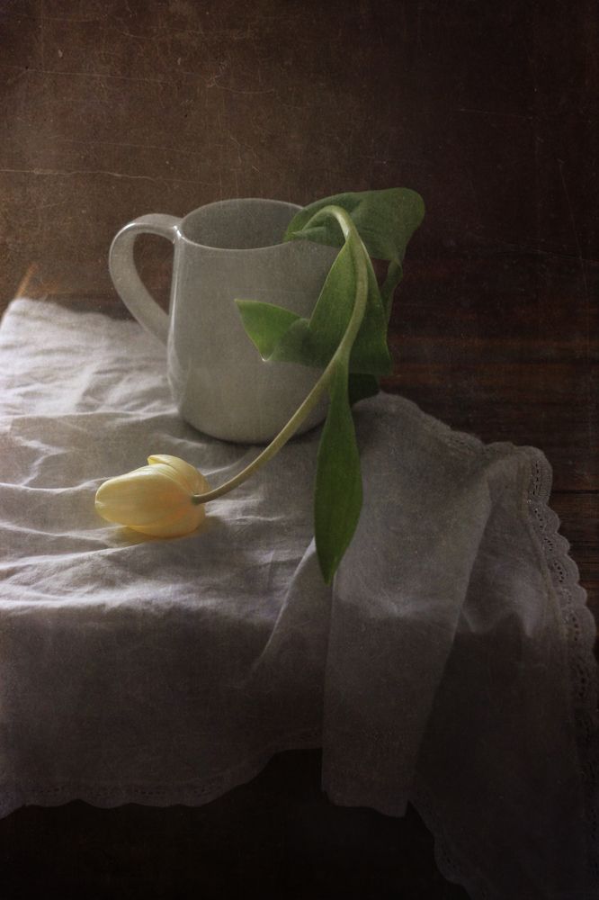 Photograph by Ольга Кочнева