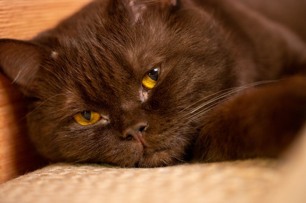 Photograph by Ирина Мошковская