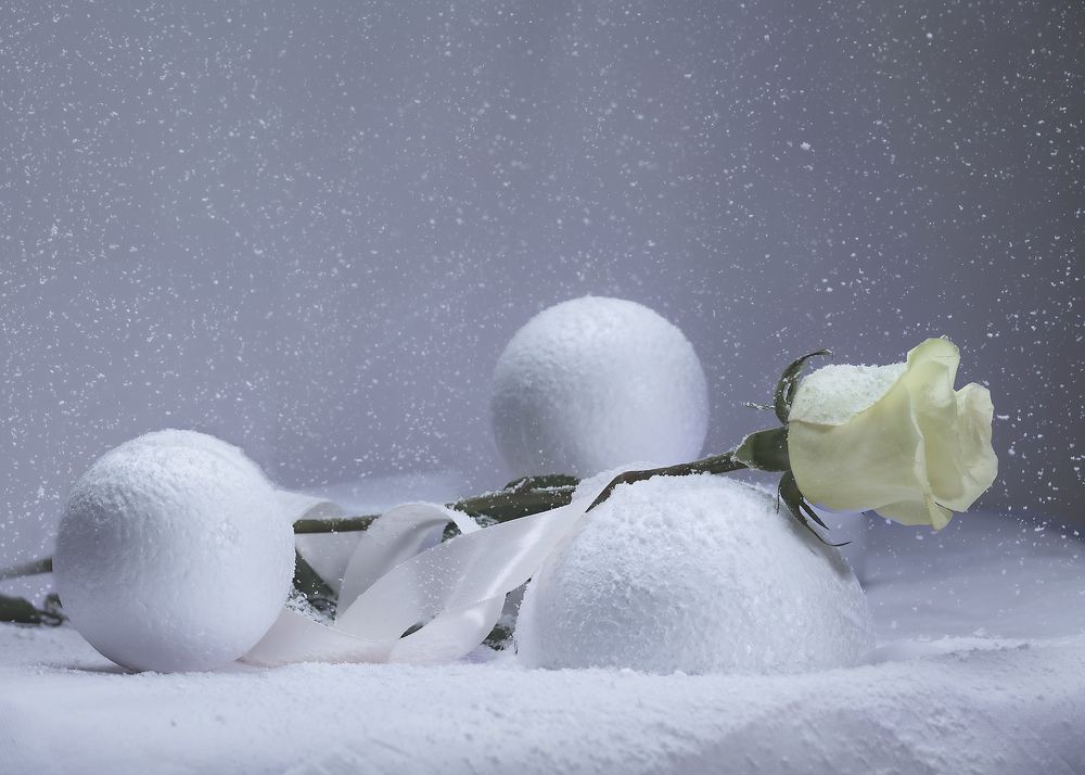 Photograph by Леонид Соснин