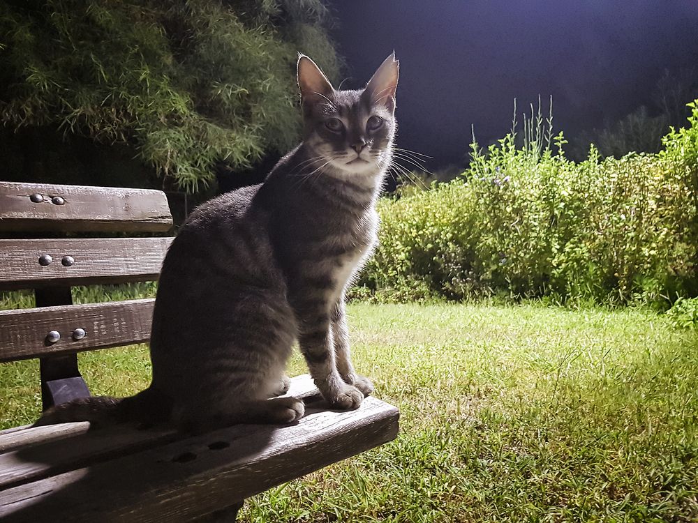 В ожидании....