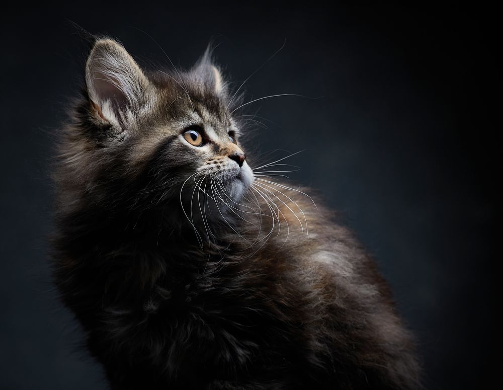 Photograph by Marina Barulina